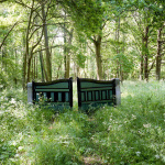 Saint Jean des Mauvrets LOIRE_12